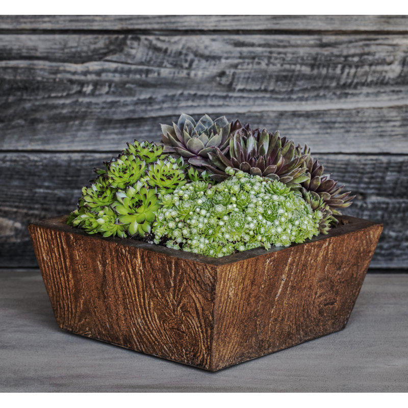 Union Rustic Ravishankar Square Tapered Cast Stone Planter