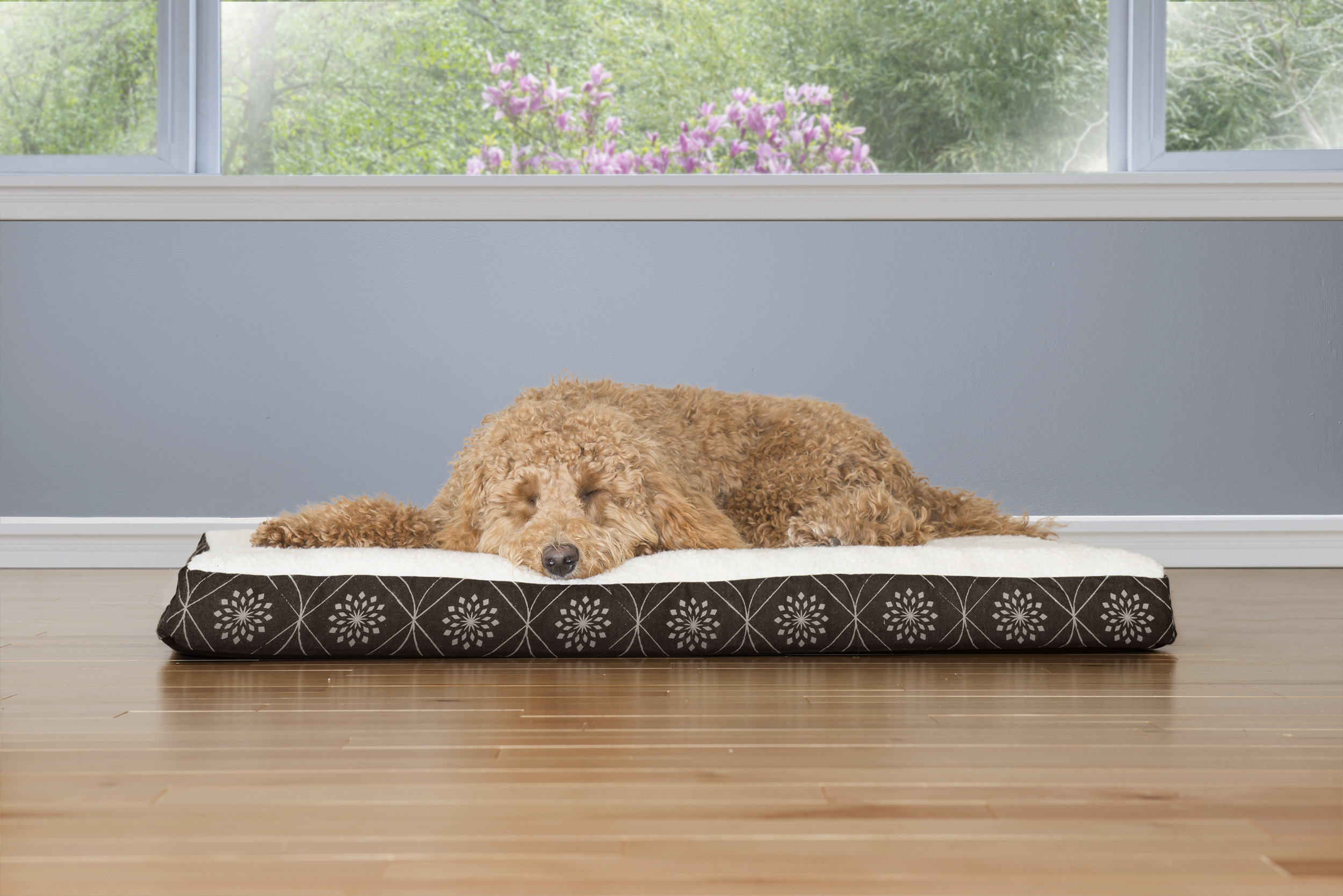 Tucker Murphy Pet Boris Flannel Egg Crate Orthopedic Dog Pillow
