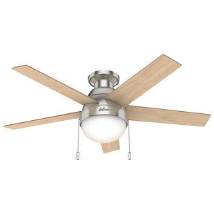Hunter Regalia Fan Wayfair
