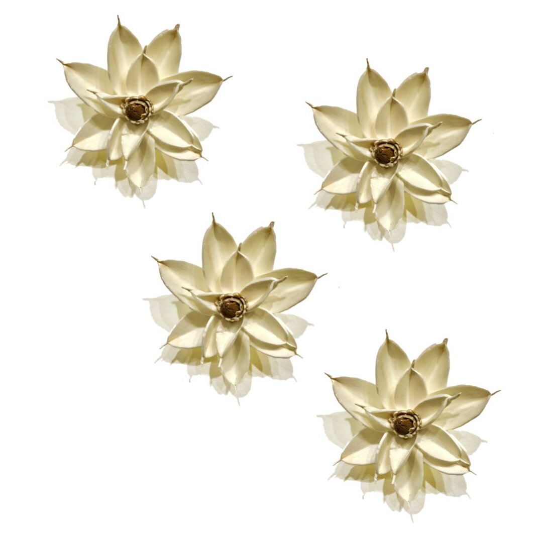 Winston Porter Organically Sustainable Magnolia Flower Magnets Wall ...