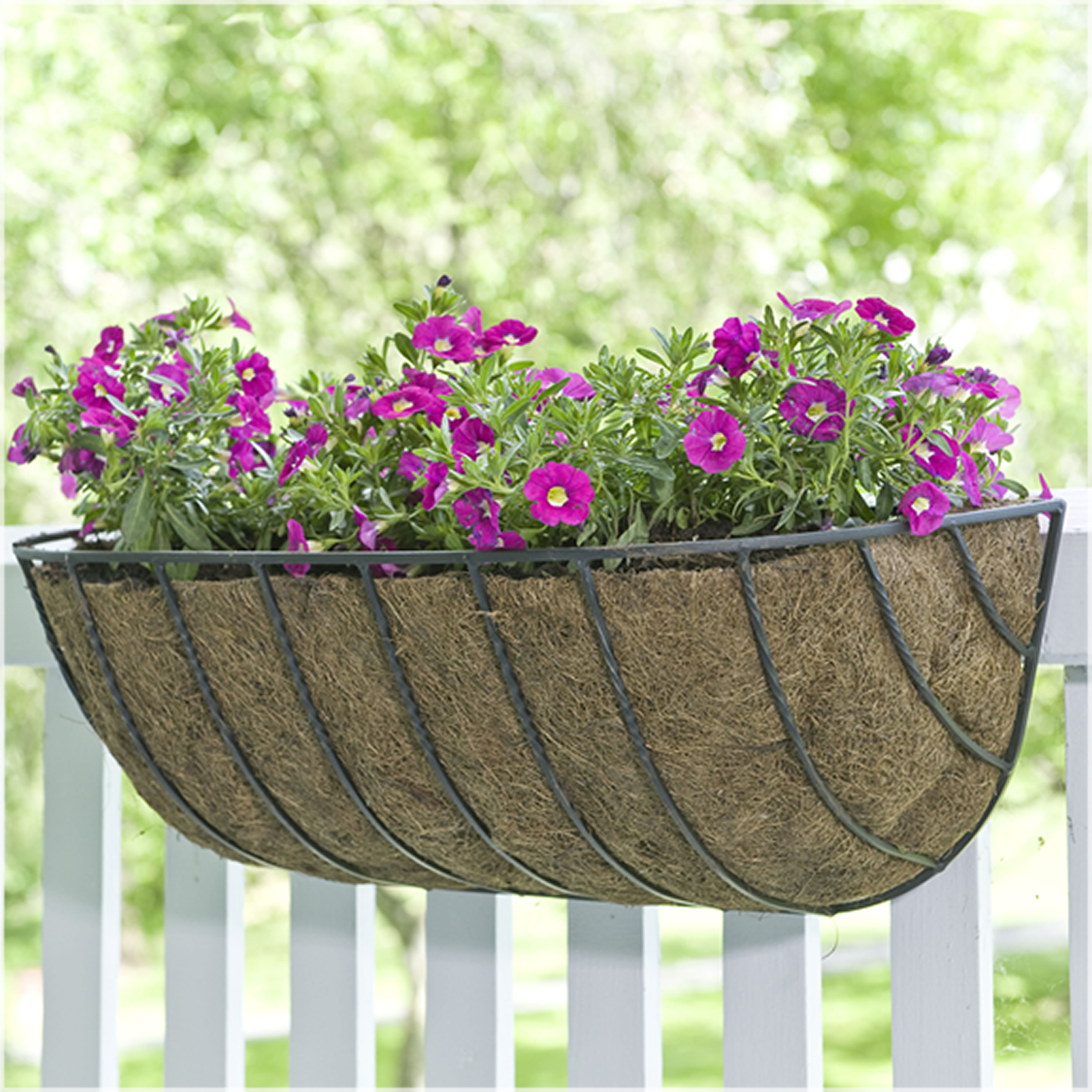 Metal Rail Planters You Ll Love In 2021 Wayfair