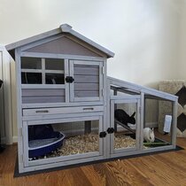 giant bunny hutch