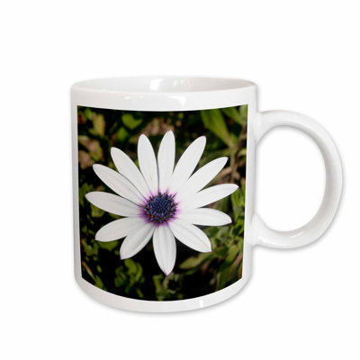 Osteospermum Daisy Center Cape Daisy Eyed Daisy Coffee Mug East Urban Home Osteospermum Daisy Center Cape Daisy Eyed Daisy Coffee Mug East Urban Home