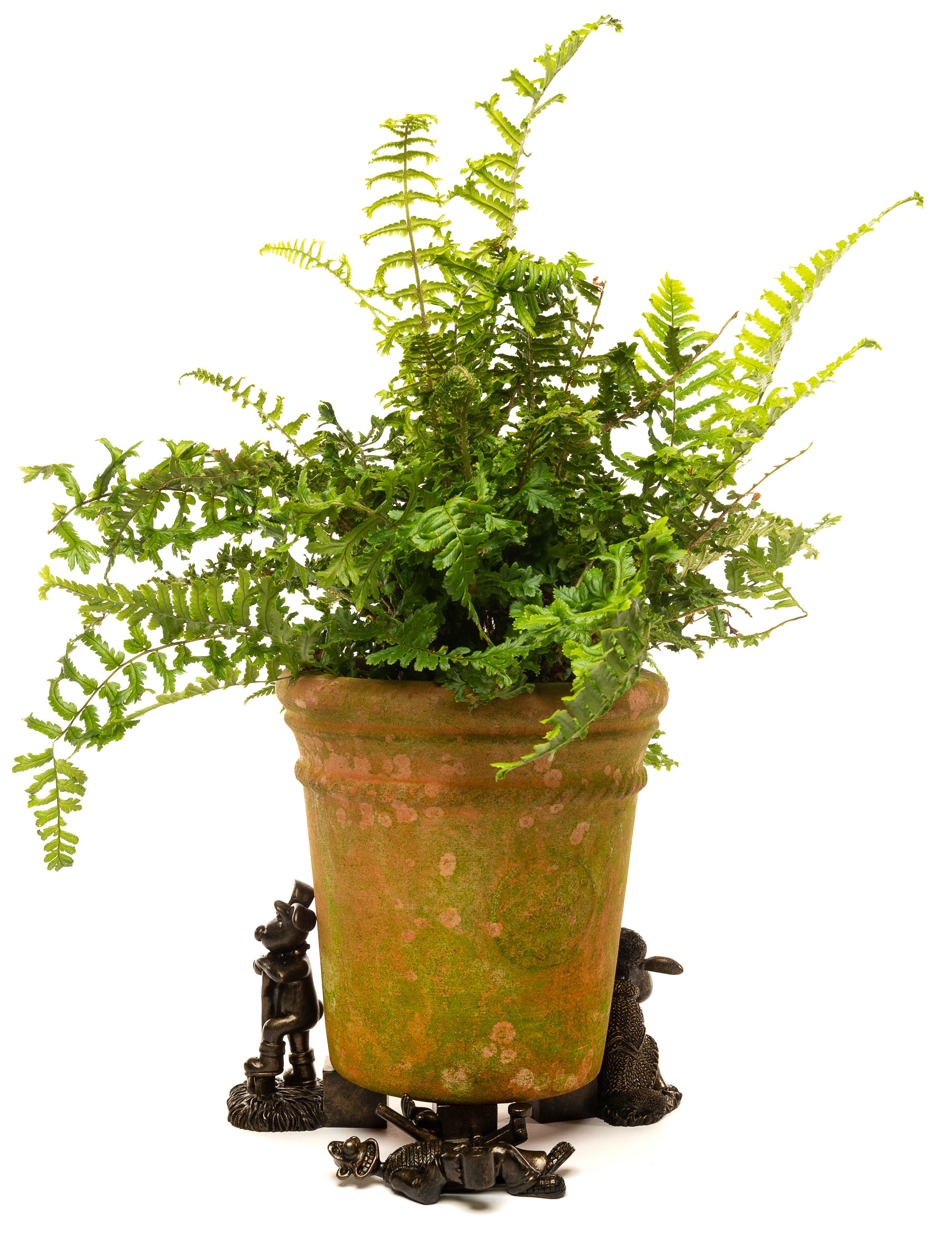 wayfair balcony planters on Jardinopia Wallace And Gromit 3 Piece Planter Feet Set Wayfair