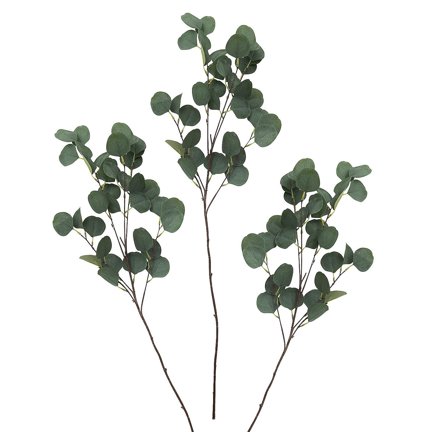 Primrue 3 Piece Artificial Eucalyptus Plant Set Wayfair