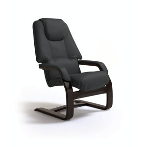 Relaxsessel von Castleton Home