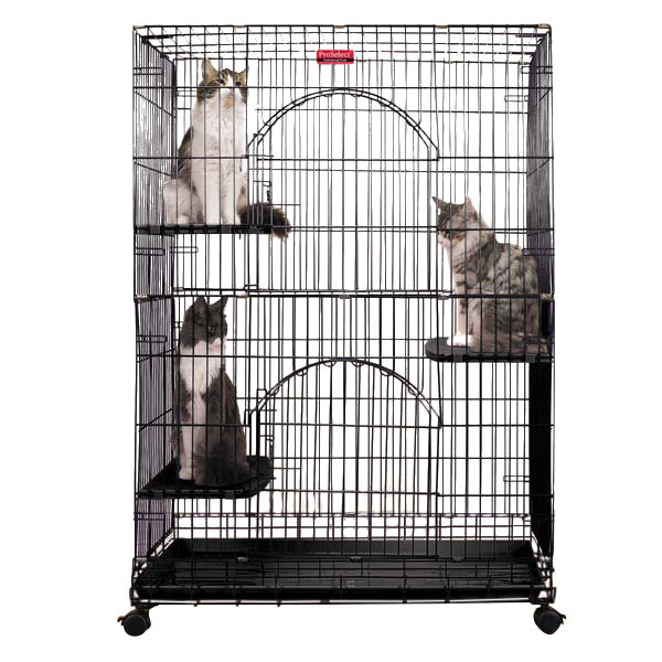 kitty crate