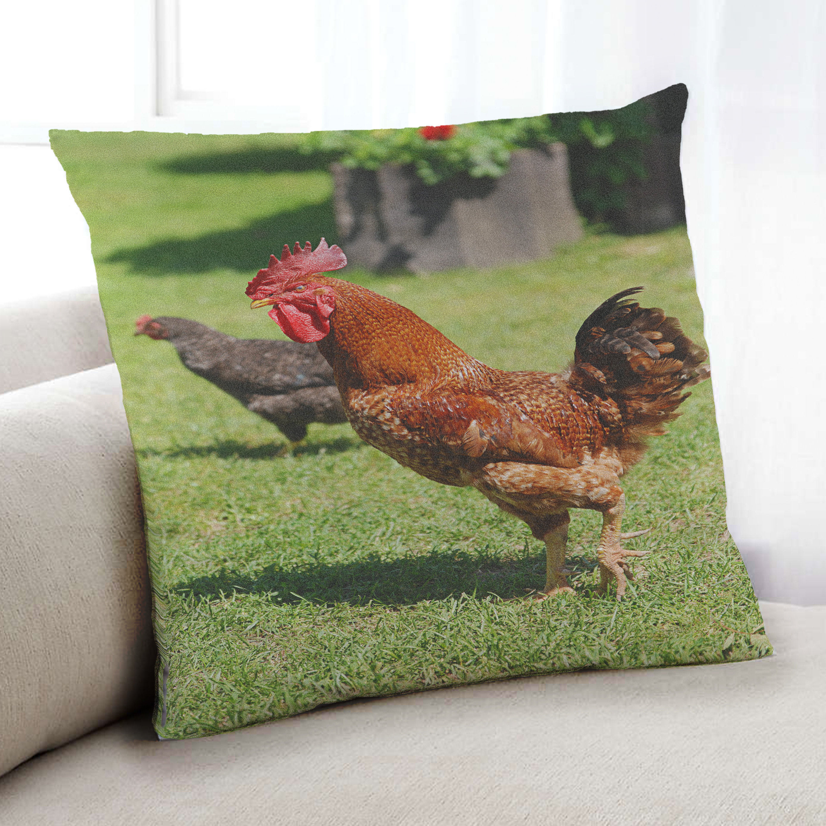 chicken throw pillows