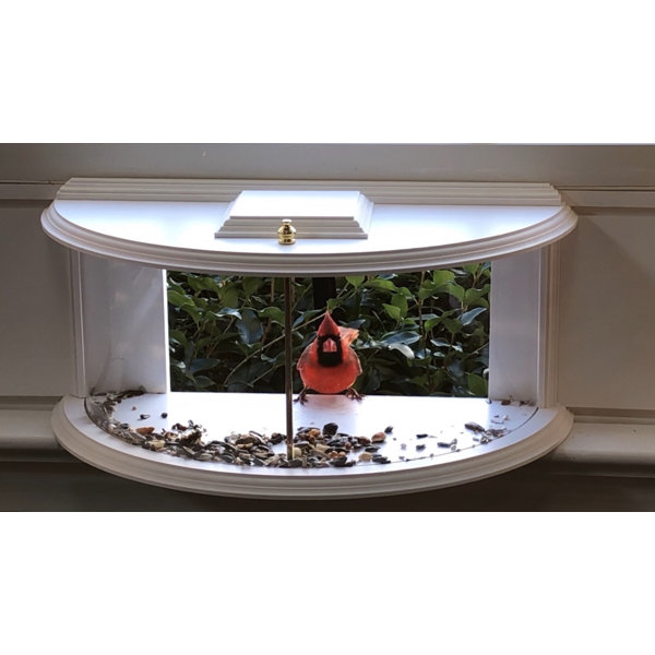 Paradise Birdhouses View Window Tray Bird Feeder Wayfair