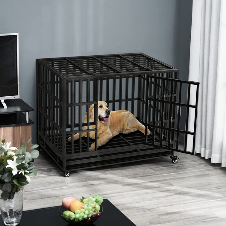dog cage under bed