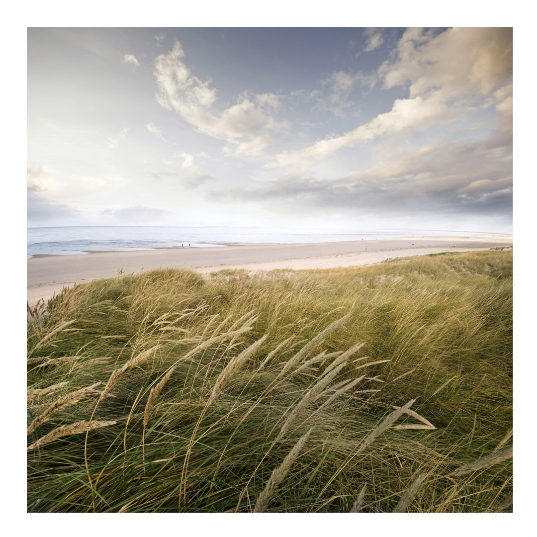 Dune Dreams 2.88m x 288cm Wallpaper