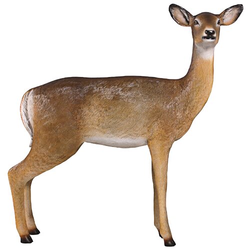 female deer name