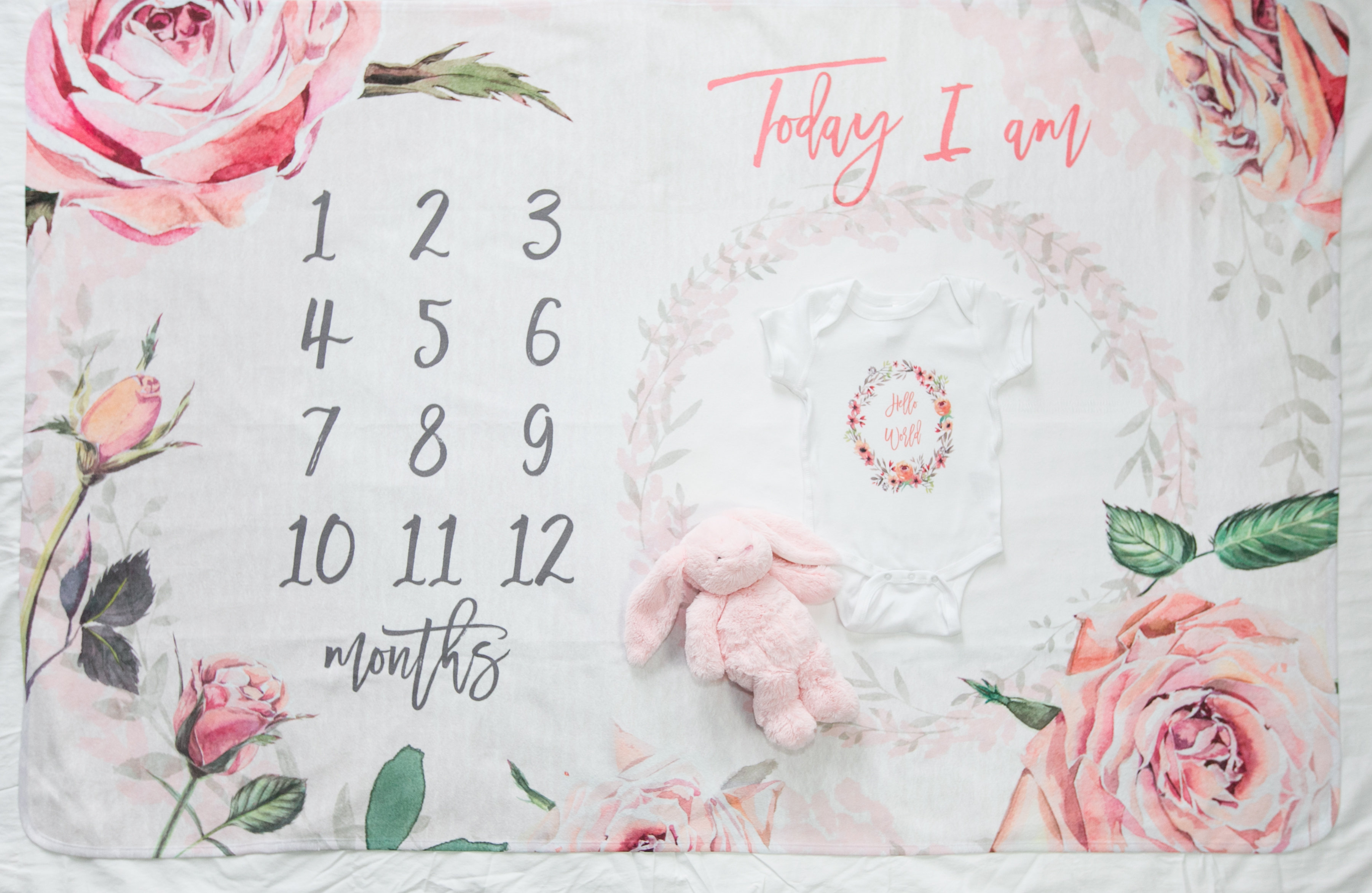 milestone baby blanket