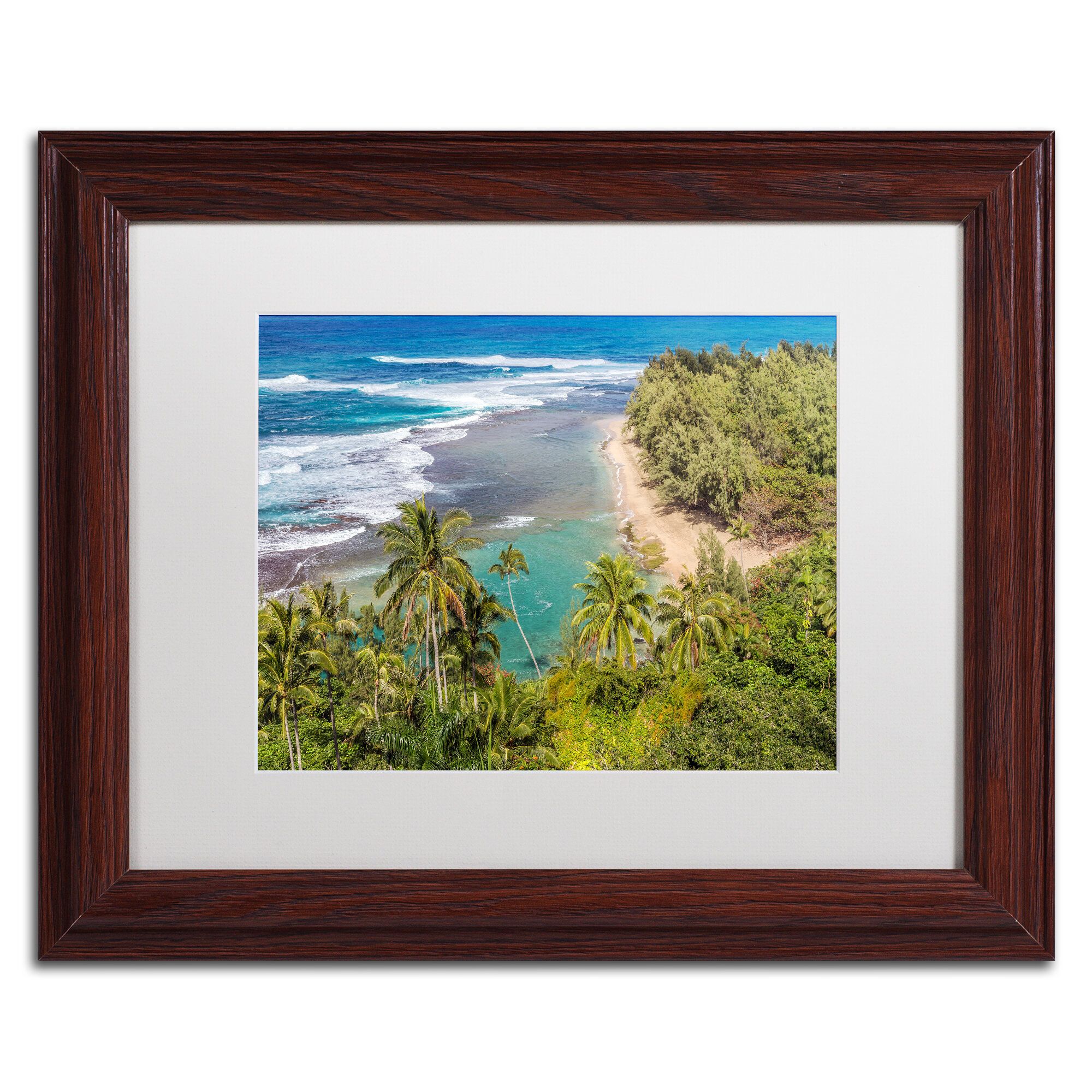Trademark Art Tropical Paradise By Pierre Leclerc Framed Photographic Print Wayfair