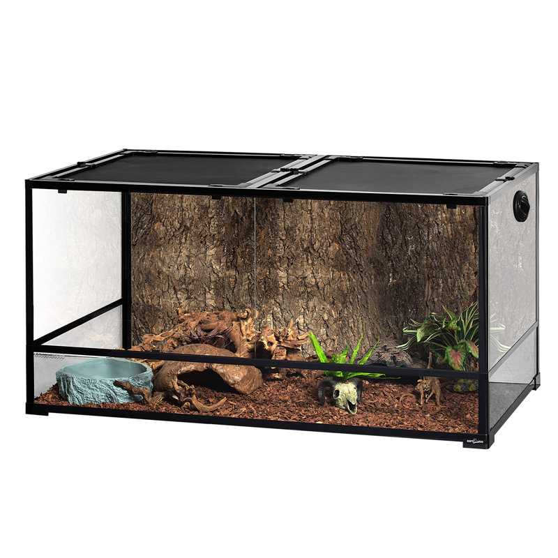 reptiles for 30 gallon tank