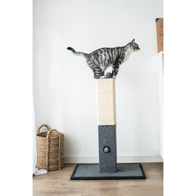 wayfair cat scratching post