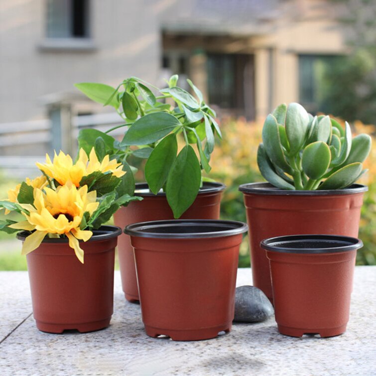 50pcs Nursery Pots Outdoor Garden Vegetable Flower Plant Plastic Pot 