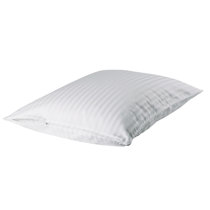 european pillow protector