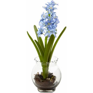 Hyacinth and Birds Nest with Vase