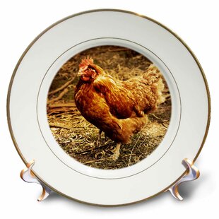 Decorative Plates You Ll Love Wayfair