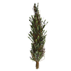 Artificial Rosemary Wayfair