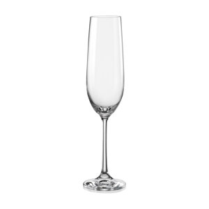 Wayfair Basics 6.5 Oz. Champagne Flute (Set of 6) (Set of 6)