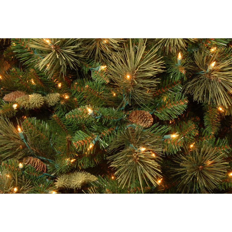 Laurel Foundry Modern Farmhouse Isenhour Green Artificial Christmas Tree With Clear White Lights Reviews Wayfair