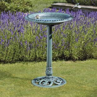 Bird Baths, Stone Bird Baths & Bird Feeders | Wayfair.co.uk