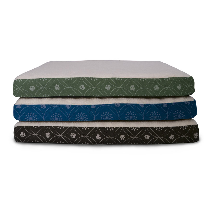 Archie Oscar Evan Paw Decor Dog Pillow Reviews Wayfair