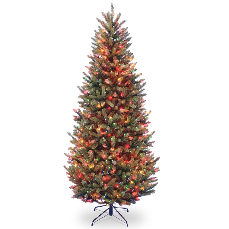 Natural Fraser Fir 9' Green Christmas Tree with 800 Clear/White Lights