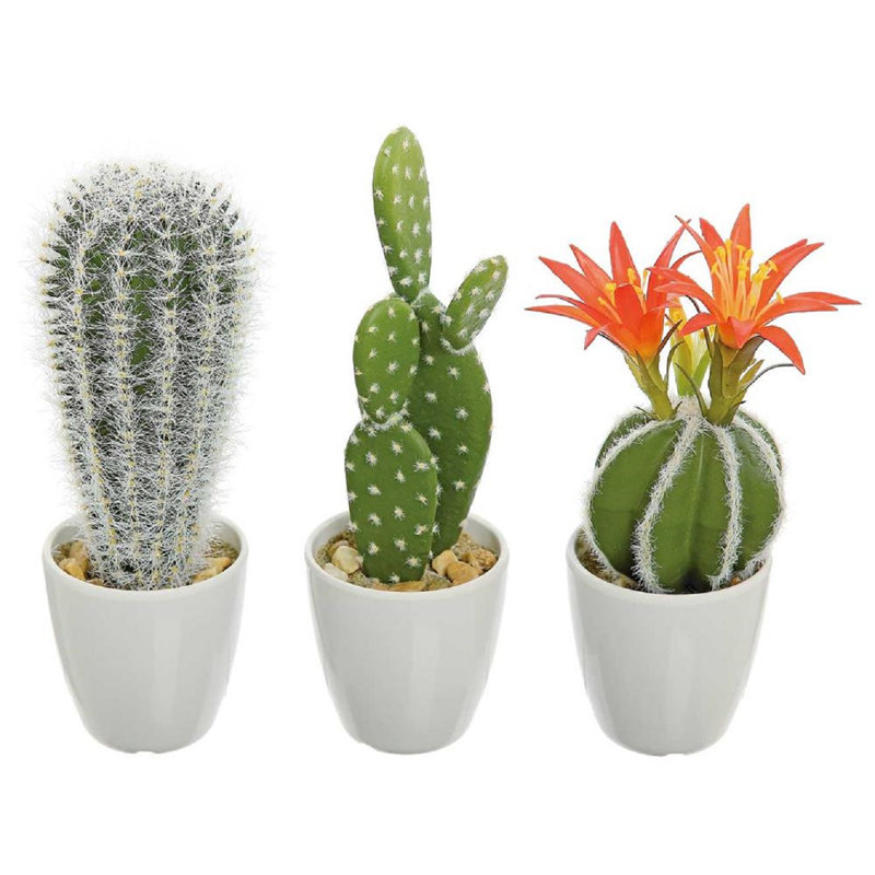 Bungalow Rose 3 Piece Echinopsis Prickly Pear Barrel ...