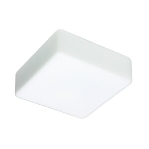 2-Light Opal Glass Flush Mount