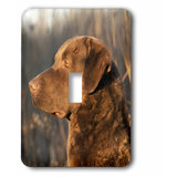 Hampton Bay Wall Plates Wayfair