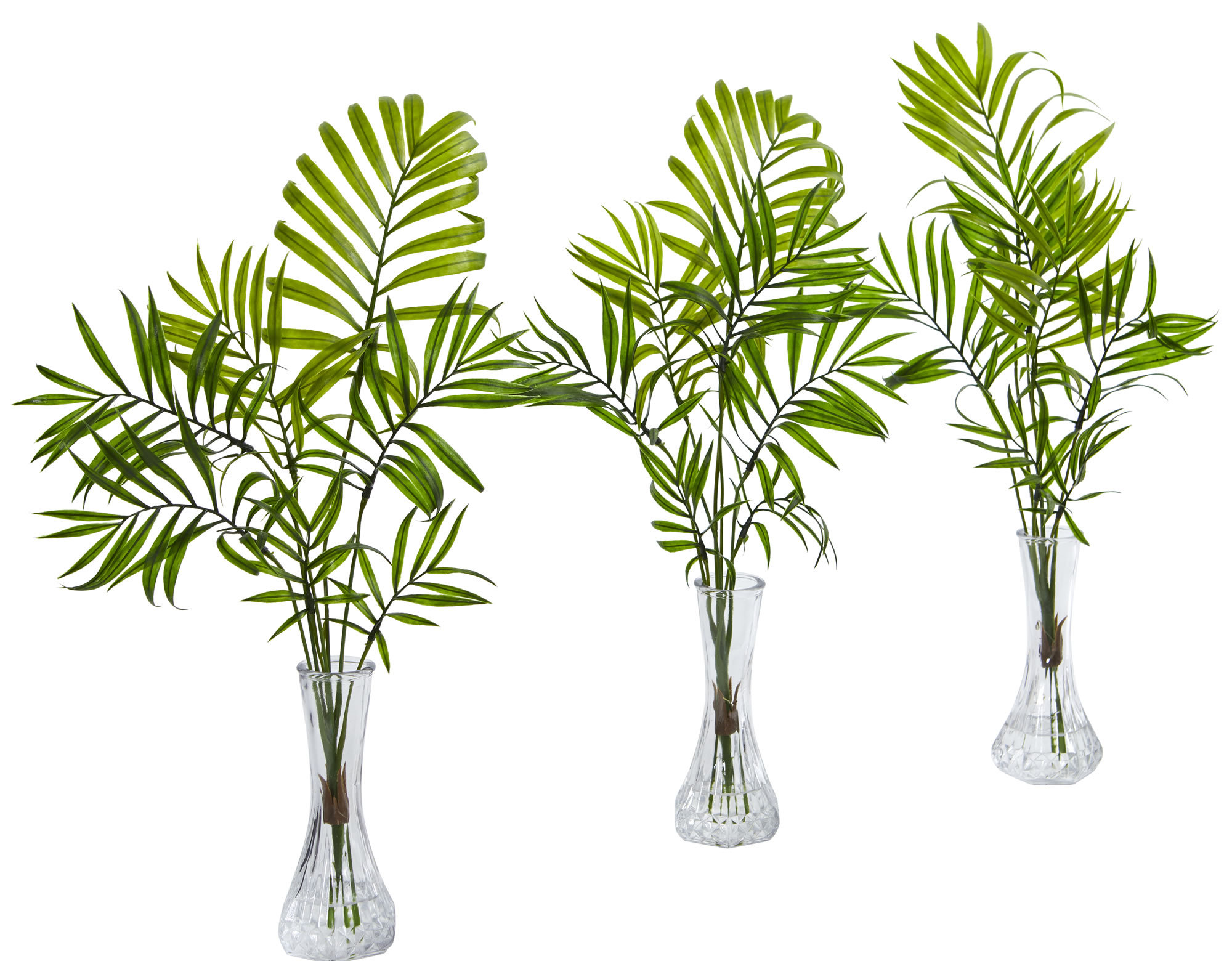 Bay Isle Home Faux Palm Plant in Glass Decorative Vase & Reviews Wayfair