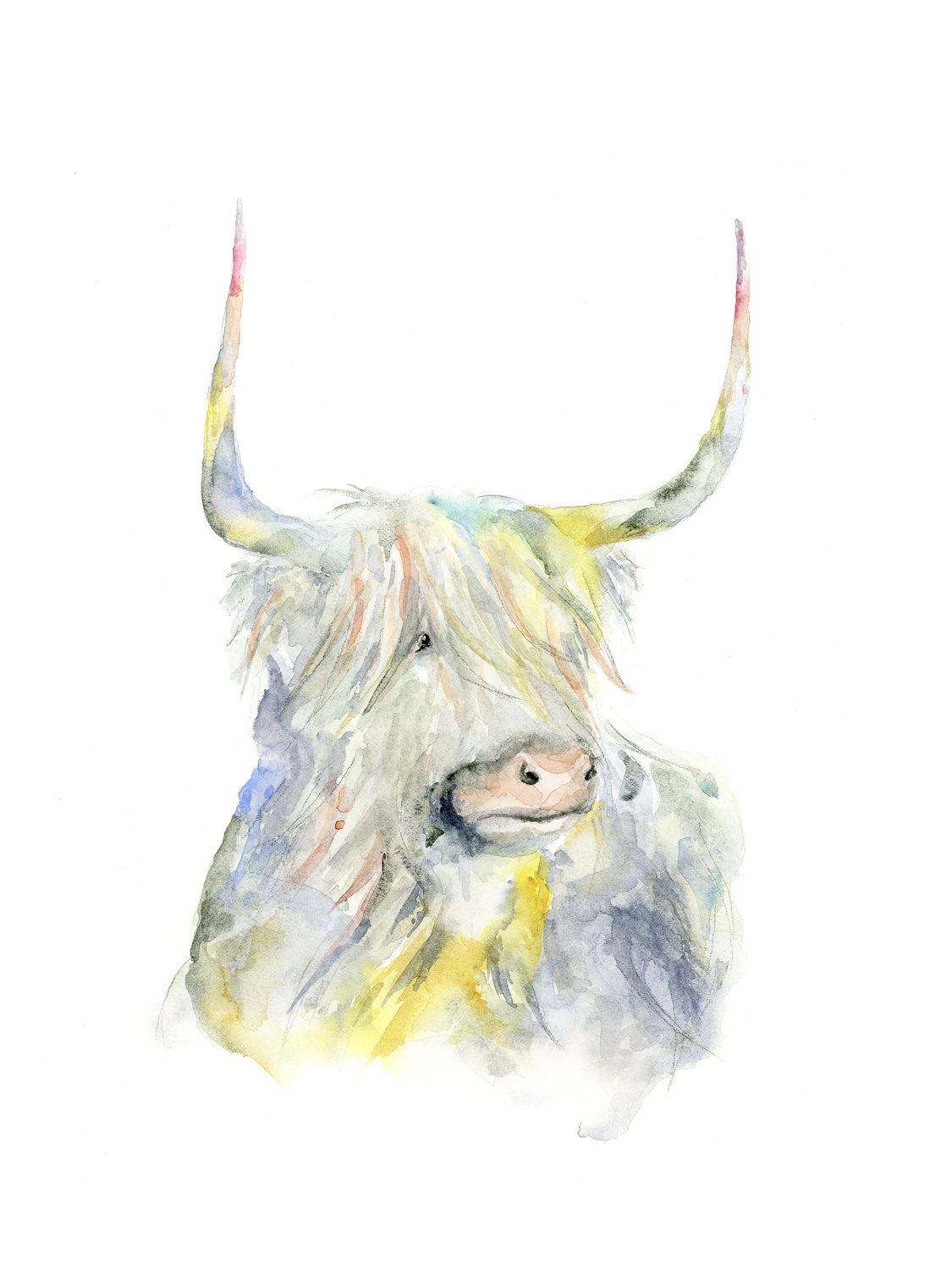 ox canvas
