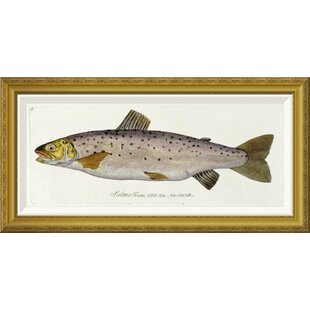 Salmon Wall Art Wayfair