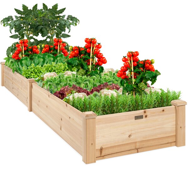Flower Bed Outdoor with Inner Lining,Removable Shelves Raised Bed Garden Planter Box for Vegetables 