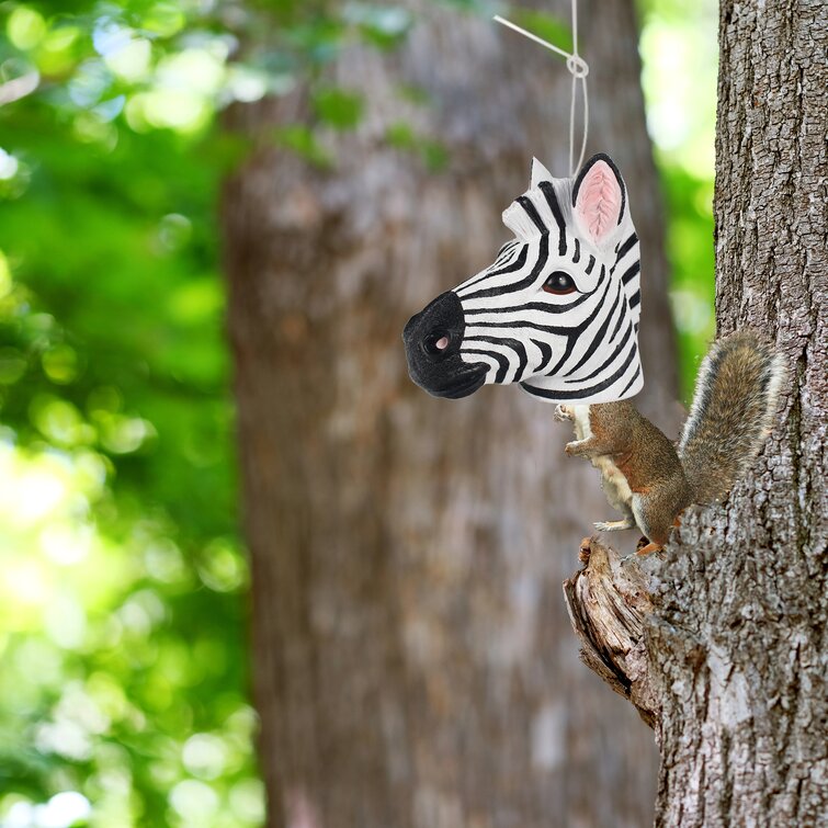 zebra squirrel
