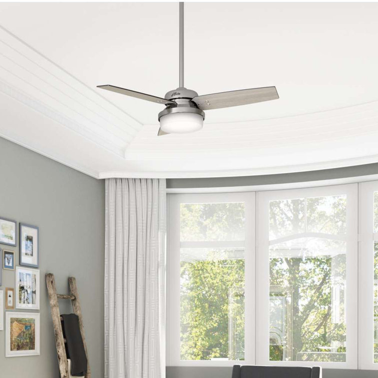 pics Hunter Sentinel Fan 44 sentinel 3 blade standard ceiling fan with remote control and light kit included