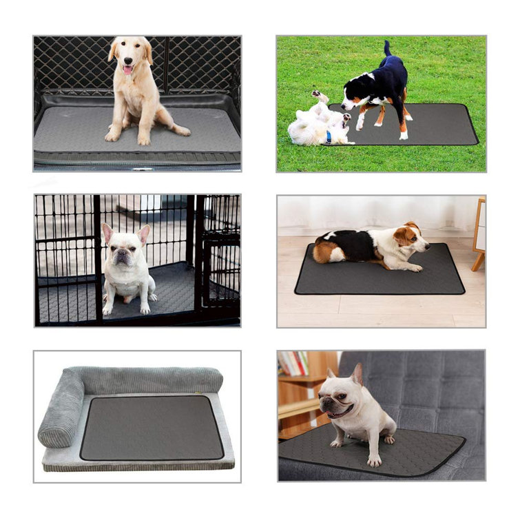 dog crate pee pads