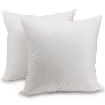 Alwyn Home Chenut Square Polyfill Cotton Euro Pillow Reviews Wayfair
