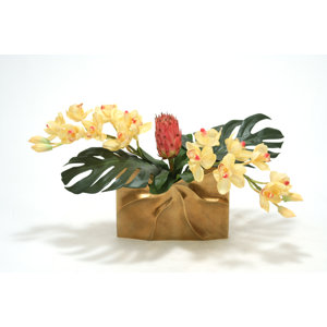 Tropical Mix of Champagne Burgundy Orchids and Protea in Ritz Vase