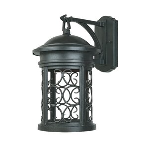 Cole 1-Light Outdoor Wall Lantern