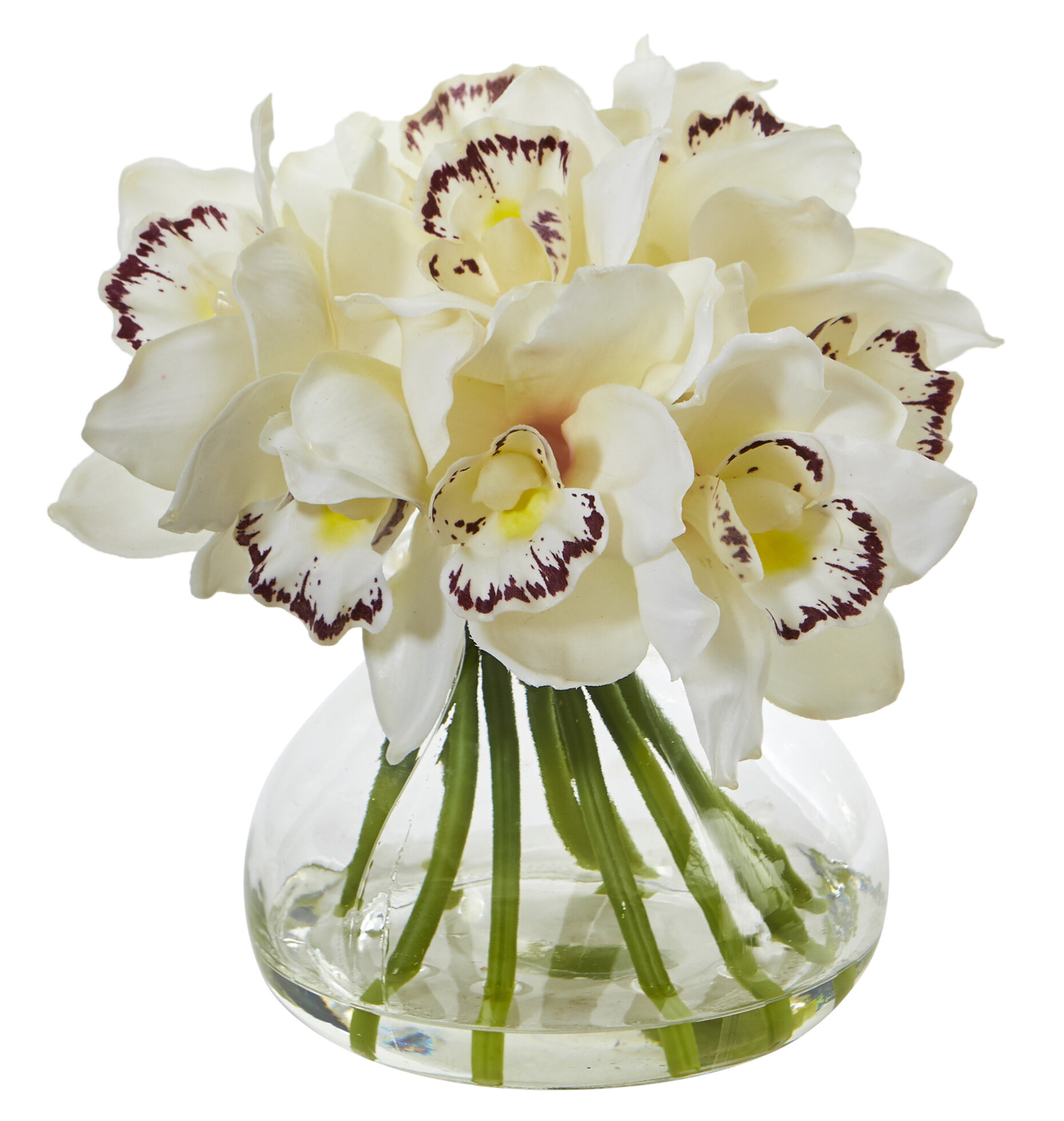 Bloomsbury Market Cymbidium Orchids Floral Arrangement In Vase Reviews Wayfair