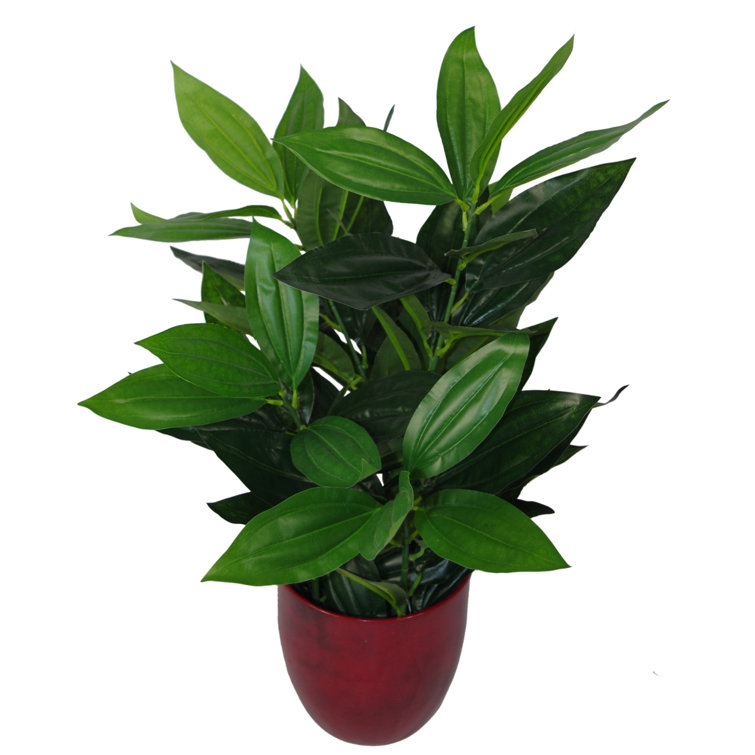 The Seasonal Aisle Artificial Foliage Plant in Pot Liner & Reviews