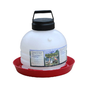 Top Fill Poultry Fountain