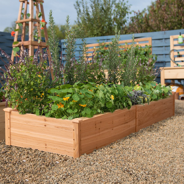 TKMD Wooden Raised Garden Bed Elevated Planter Box Kit for Backyard Patio Balcony 47 x 23 x 30-Inch 