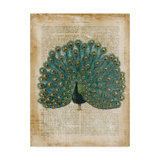 Peacock Wall Art You Ll Love In 2021 Wayfair Ca It looks like you're using artstation from canada. peacock wall art you ll love in 2021