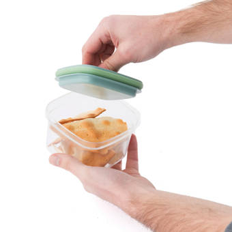 Rebrilliant Eldridge Max Cube 4 31 Qt Food Storage Container Reviews Wayfair