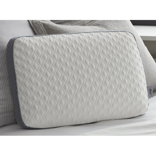 Sealy Medium Memory Foam 16 X 24 Bed Pillow Reviews Wayfair